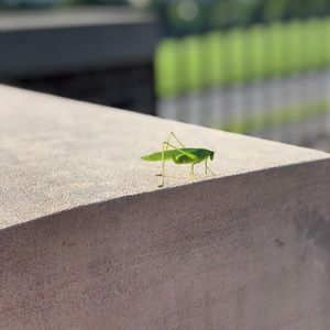 Meet your Posher, Logan